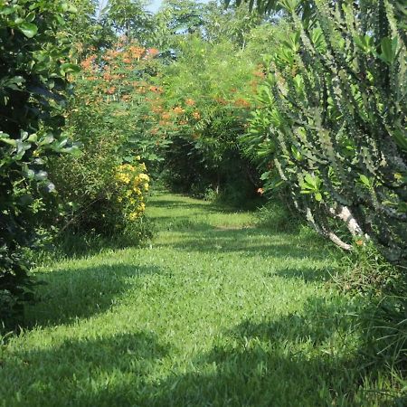 Maylyn Guesthouse Vang Vieng Dış mekan fotoğraf