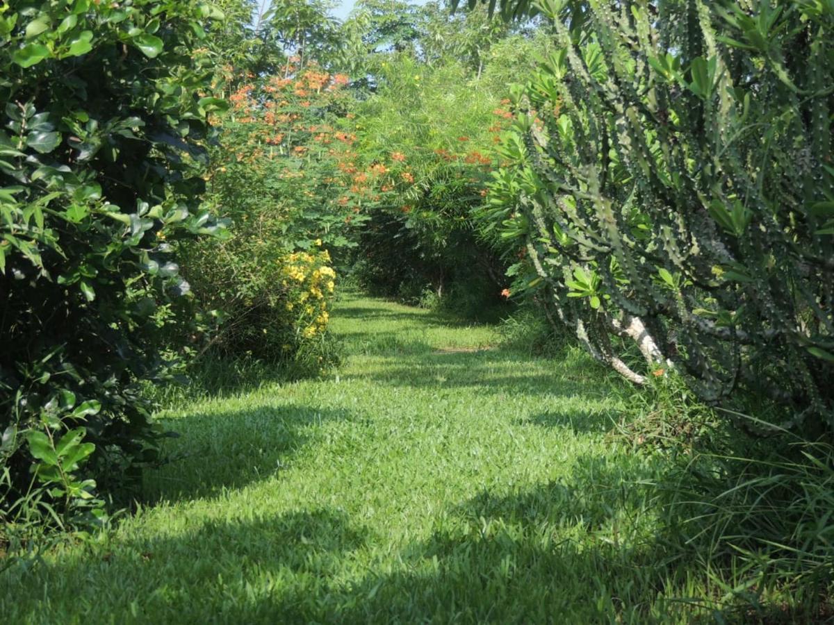 Maylyn Guesthouse Vang Vieng Dış mekan fotoğraf