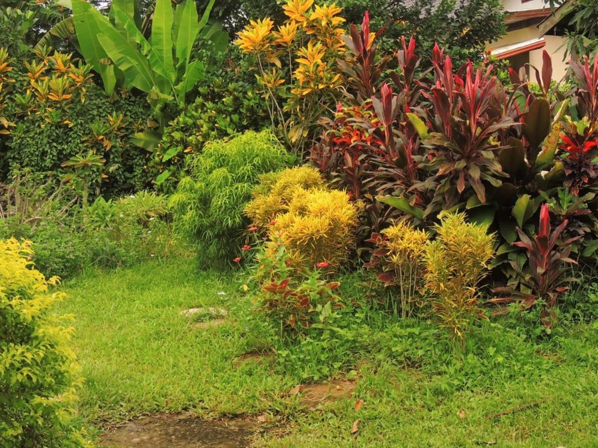 Maylyn Guesthouse Vang Vieng Dış mekan fotoğraf
